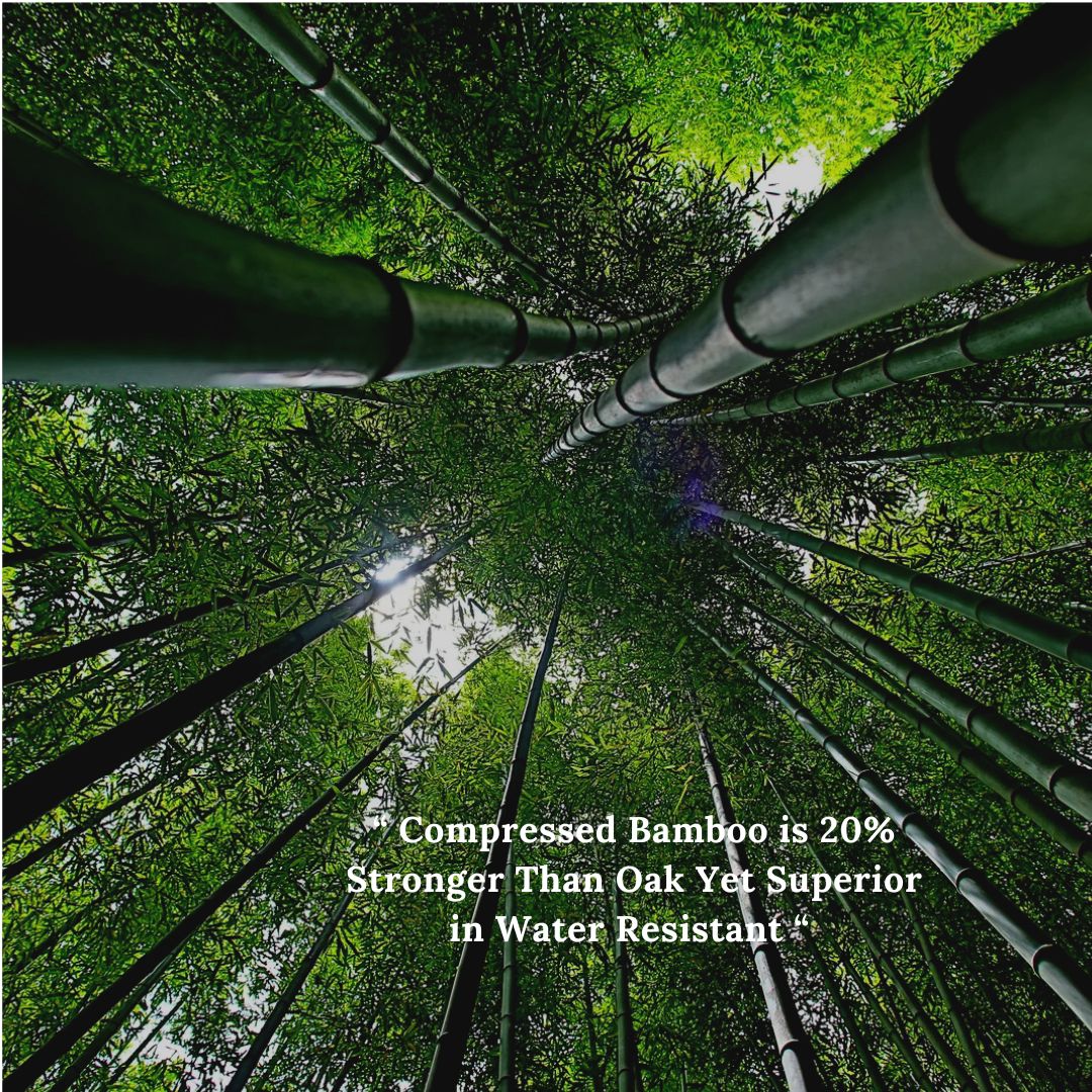 𝐁𝐚𝐦𝐛𝐨𝐨 𝐂𝐨𝐦𝐩𝐫𝐞𝐬𝐬𝐞𝐝 – 𝐀 𝐒𝐮𝐩𝐞𝐫𝐢𝐨𝐫 𝐂𝐡𝐨𝐢𝐜𝐞 𝐎𝐯𝐞𝐫 𝐖𝐨𝐨𝐝 🌿